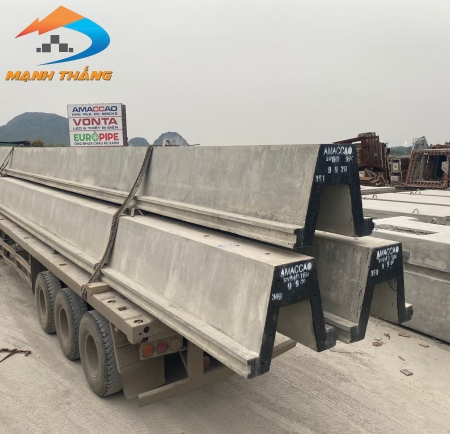 Cọc cừ ván SW300 DƯL