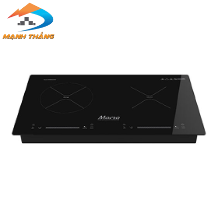 bếp điện từ đôi