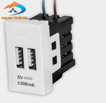 Ổ cắm USB âm tường DQHome ĐQ IW1 2UO W (màu trắng)