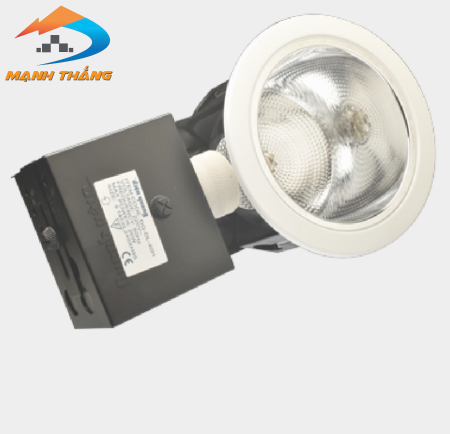 Chóa lon âm trần Điện Quang ĐQ HRD02G 1402E27 (ngang 5"5 (140mm) có kiếng 2xE27)