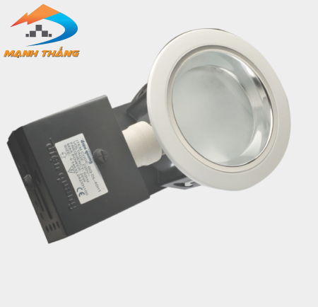 Chóa lon âm trần Điện Quang ĐQ_DL 40H1 (ngang 4"có kiếng)