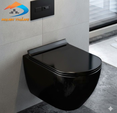 Bồn Cầu Treo 6024D