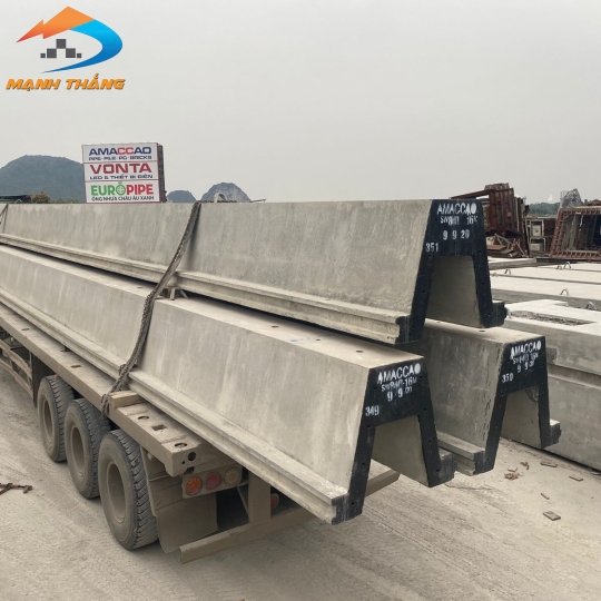 Cọc cừ ván SW300 DƯL