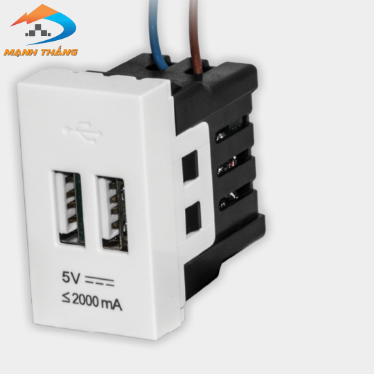 Ổ cắm USB âm tường DQHome ĐQ IW1 2UO W (màu trắng)