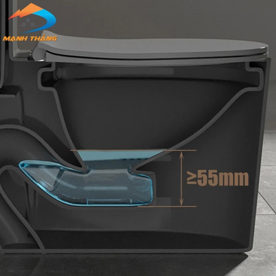 Bồn Cầu Khối 6010 GG 