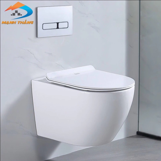 Bồn Cầu Treo 6024