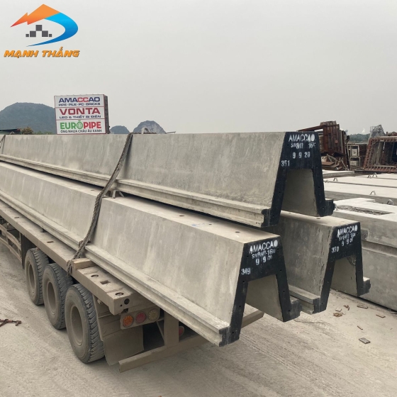 Cọc cừ ván SW300 DƯL