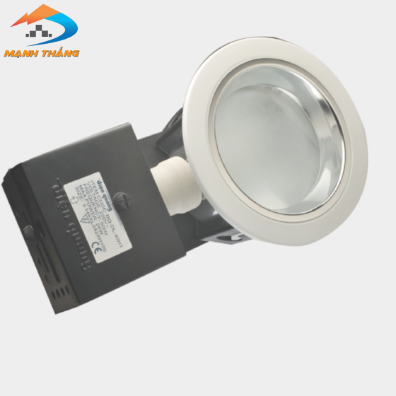Chóa lon âm trần Điện Quang ĐQ_DL 40H1 (ngang 4"có kiếng)