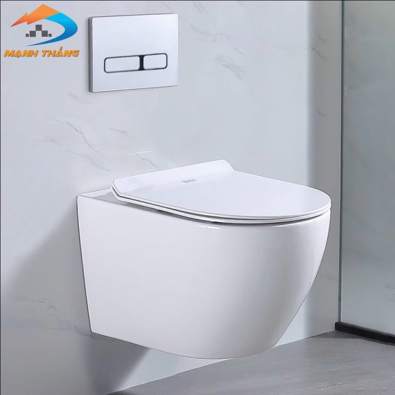 Bồn Cầu Treo 6024